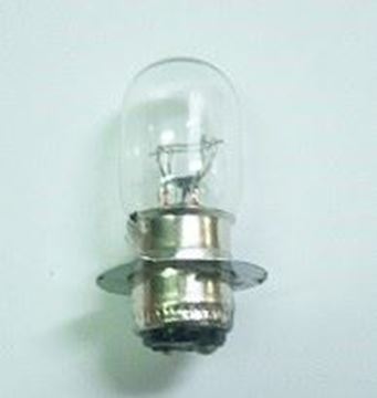 Picture of BULBS 12 25 25 S1 ROC