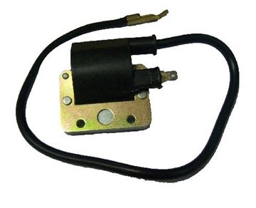 Picture of IGNITION COIL RUNNER TYPHOON LIBERTY 2T 7220018 ROC #