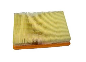 Picture of AIR FILTER CHCAF6915 HFA7915 BMW R1200GS 13-14 CHAMPION