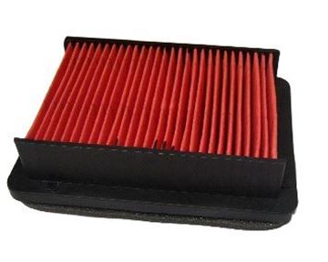 Picture of AIR FILTER TMAX 500 08-11 ROC