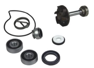 Picture of WATER PUMP REPAIR KIT PIAGGIO 250 04-05 7420026 MOBE