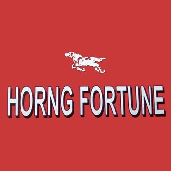 Picture for manufacturer HORN FORTUNE