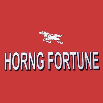 Εικόνα για τον κατασκευαστή HORN FORTUNE