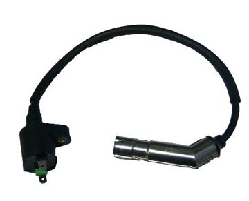 Picture of IGNITION COIL TRAVELLER 150 ROC