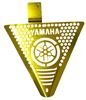 Picture of TRIANGLE CAP CRYPTON X135 GOLD