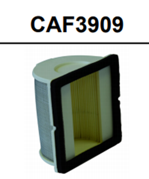 Picture of AIR FILTER CHCAF3909 HFA4909 TMAX500 CHAMPION