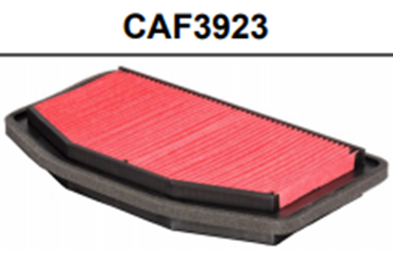 Picture of AIR FILTER CHCAF3923 HFA4923 YZF R1 09-14 CHAMPION