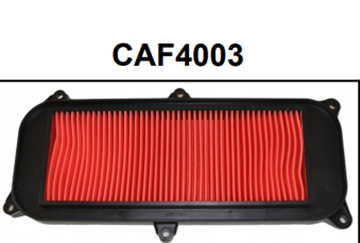 Picture of AIR FILTER CHCAF4003 HFA5003 DINK125 200 GRAND DINK 125 250 XCITING300 CHAMPION