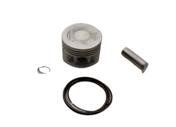 Picture of PISTON KIT CRYPTON R115 T110 54MM PIN13MM SHARK MAL